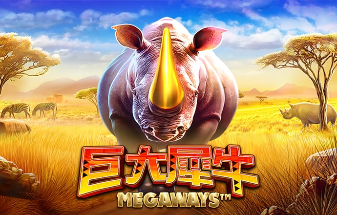 im体育app官方入口